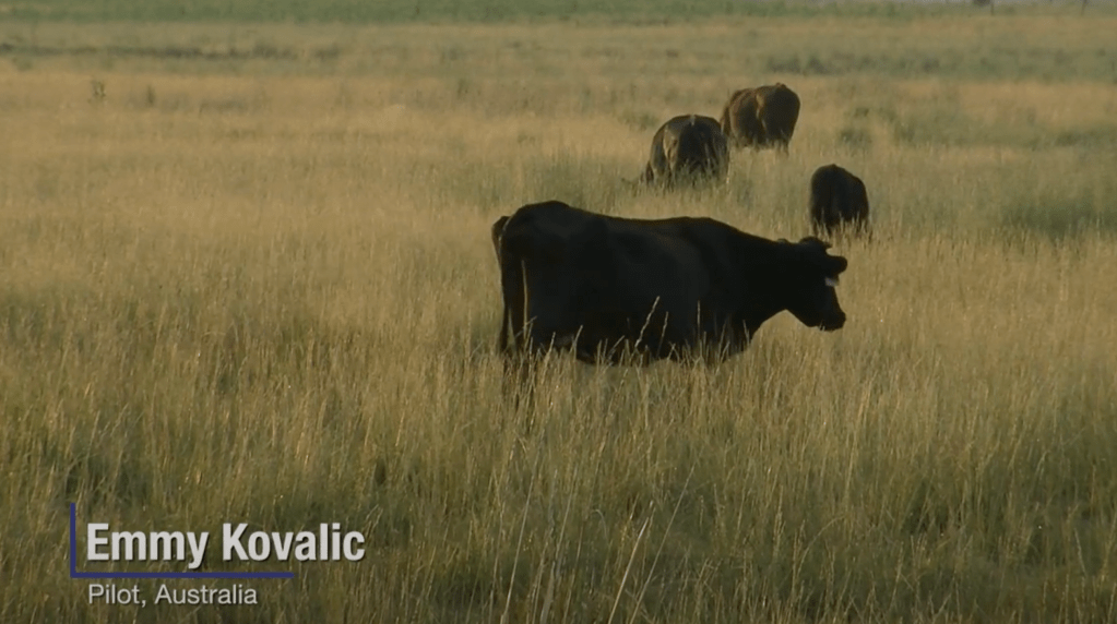 Editing in After Effects – Lower&nbsp;Thirds